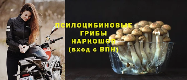 шишки Ивантеевка