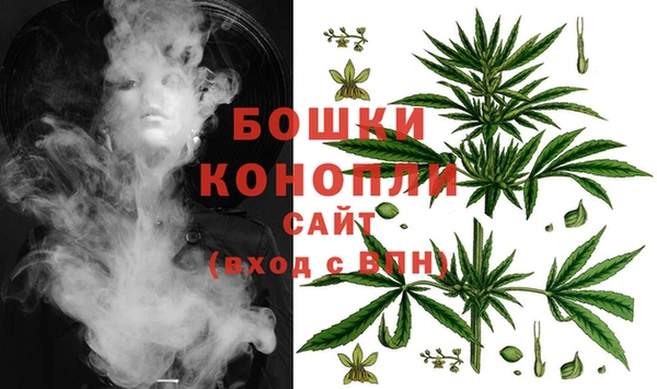 амф Осинники