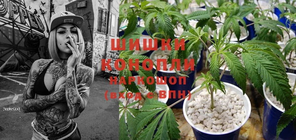 первитин Нягань