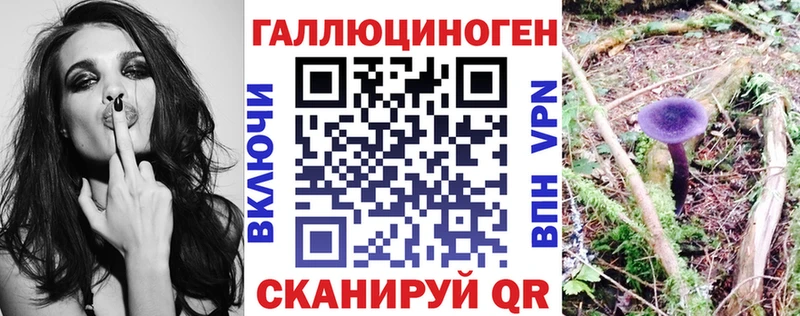 Галлюциногенные грибы Psilocybine cubensis  Остров 